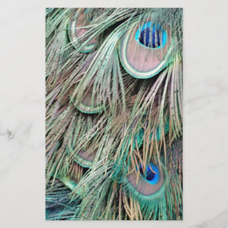 Natural Peacock Eyes Fluffy Feathers Stationery