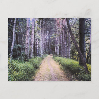 Natural Perfection Postcard