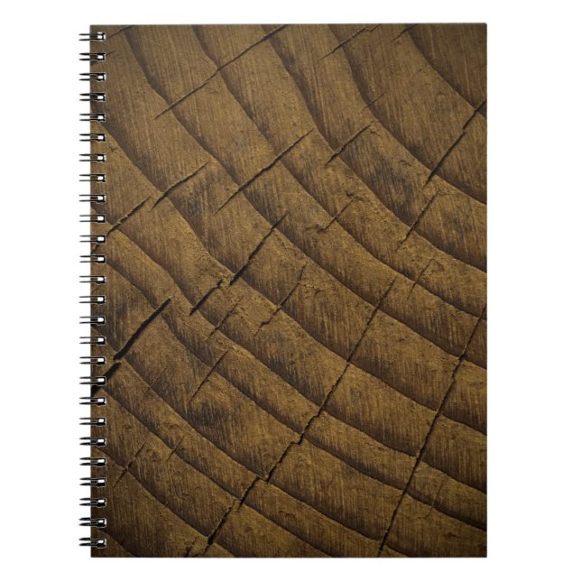  Natural Pine Wood Background. Raw Material. Organ Notebook (Front)