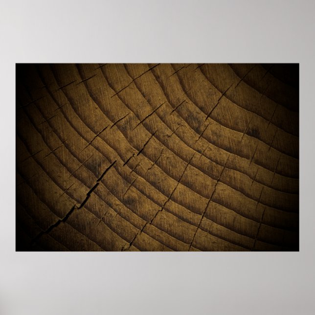  Natural Pine Wood Background. Raw Material. Organ Poster (Front)