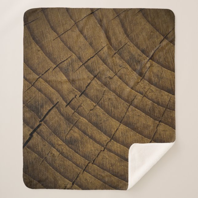  Natural Pine Wood Background. Raw Material. Organ Sherpa Blanket (Front)