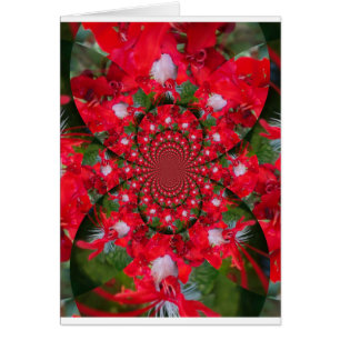 Natural Red Flower White Feather Kaleidoscope Art