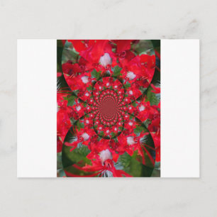 Natural Red Flower White Feather kaleidoscope art  Postcard