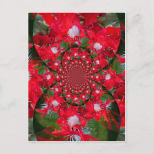 Natural Red Flower White Feather Kaleidoscope Art Postcard