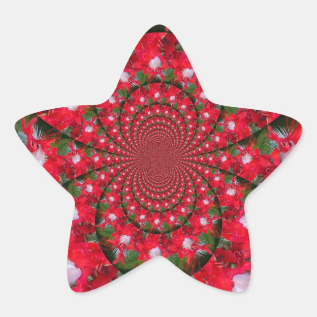 Natural Red Flower White Feather kaleidoscope art  Star Sticker (Front)