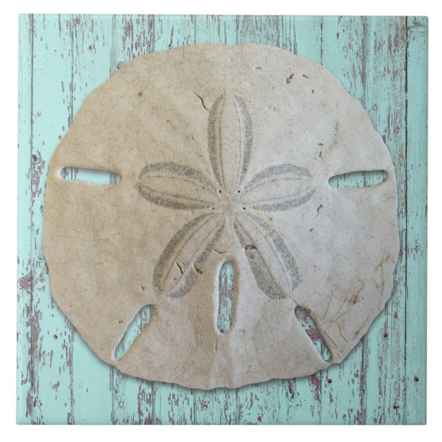 Natural Sand Dollar Rustic Beach Wood  Tile (Front)