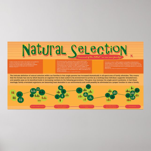 Natural Selection Poster (Front)