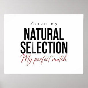 Natural Selection Poster Biology Science Gift