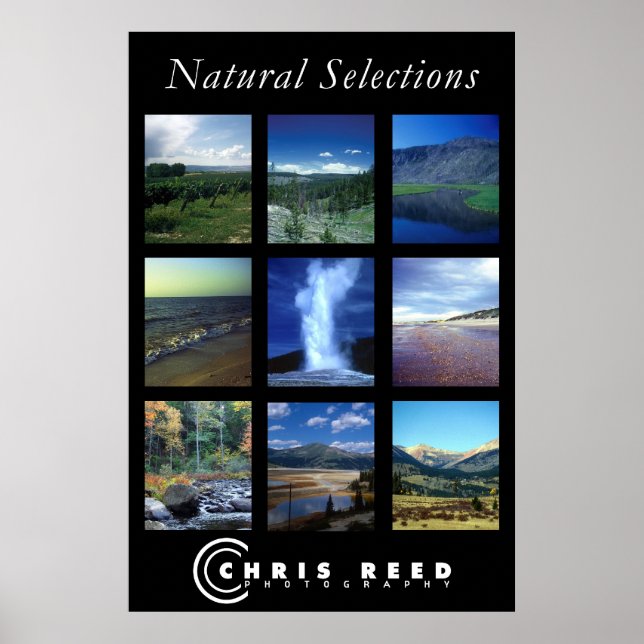 Natural Selections Poster (Front)