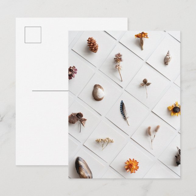 Natural Specimen Collection Minimalist Postcard (Front/Back)
