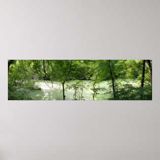 Natural Swamp Poster