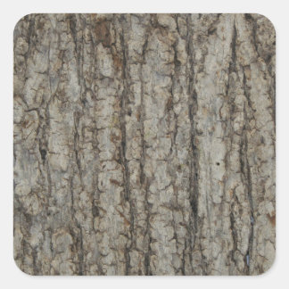 Natural Tree Bark Camo Camouflage Rustic Square Sticker