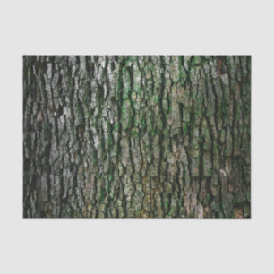 Natural tree bark texture tissue paper
