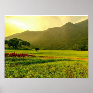 natural wallpaper designs suitable for all rooms poster
