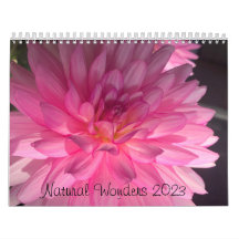 Natural wonder Two Page MediumCalendar, White 2023