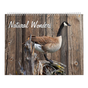 NATURAL WONDERS CALENDAR