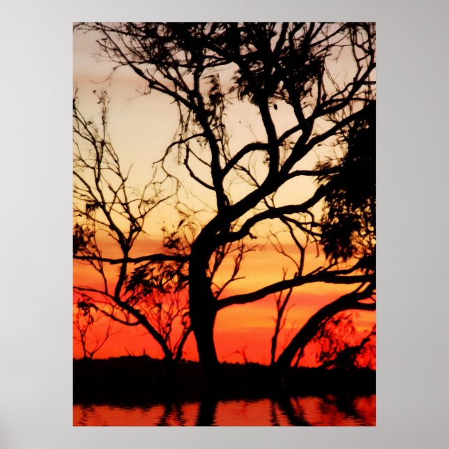 Naturaladelic Poster (Front)