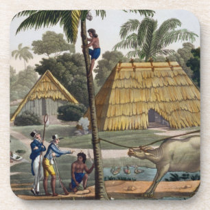 Naturalists question natives near Kupang, Timor, p Coaster