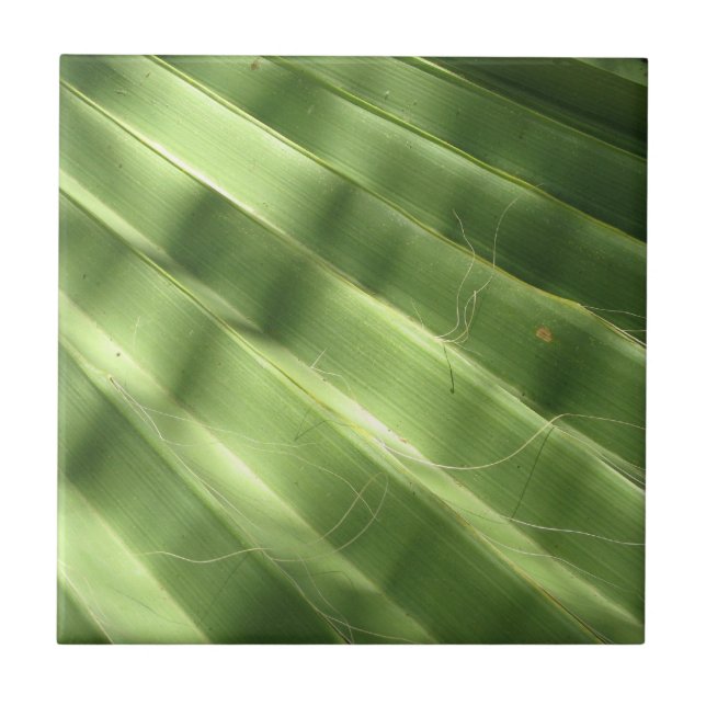 Naturally Cool Surfaces_Fluted Frond Tile (Front)