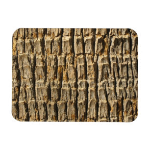 Naturally Cool Surfaces_Palm Tree Bark Magnet