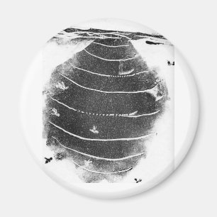 Naturally Odd Magnet