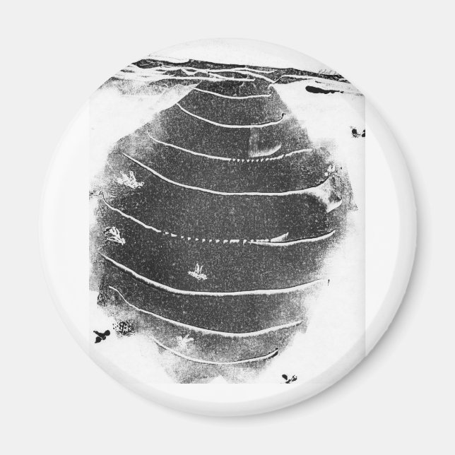 Naturally Odd Magnet (Front)