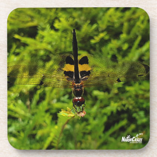 NaturCraze B&Y Dragonfly Hard plastic coaster