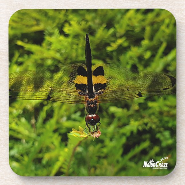NaturCraze B&Y Dragonfly Hard plastic coaster (Front)