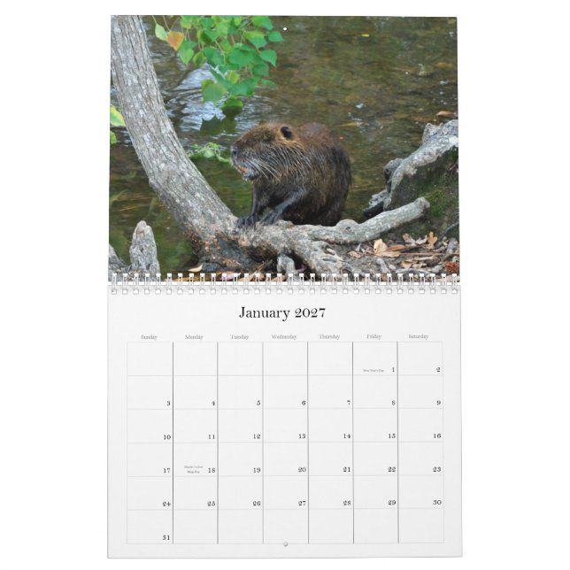 Nature 2012 Calendar (Jan 2027)