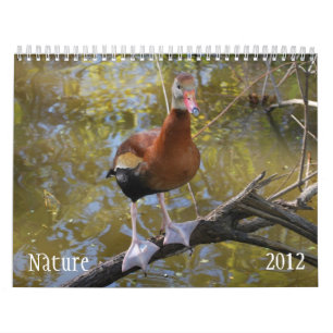 Nature 2012 Calendar