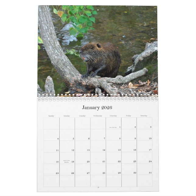 Nature 2012 Calendar (Jan 2026)