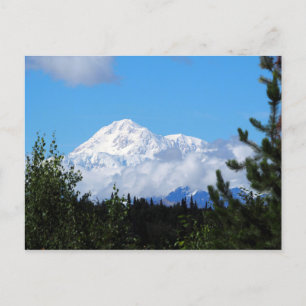 Nature Alaska Denali Scenery Photo Postcard