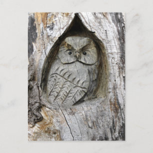 Nature and Art Centre Postcard