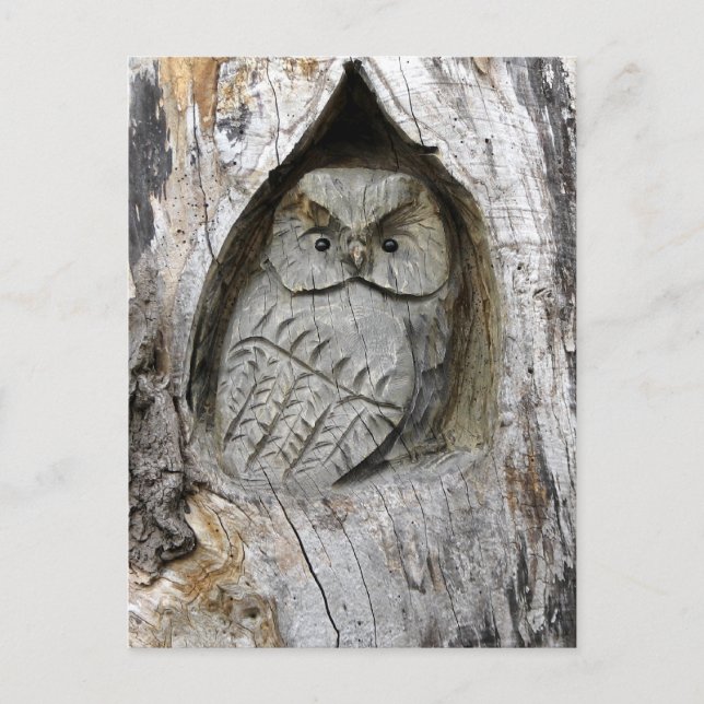 Nature and Art Centre Postcard (Front)