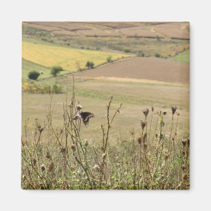 Nature and Butterfly Photo Magnet
