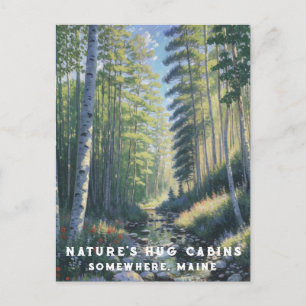 *~* Nature AP49 Maine Forest Woods Stream Vacation Postcard