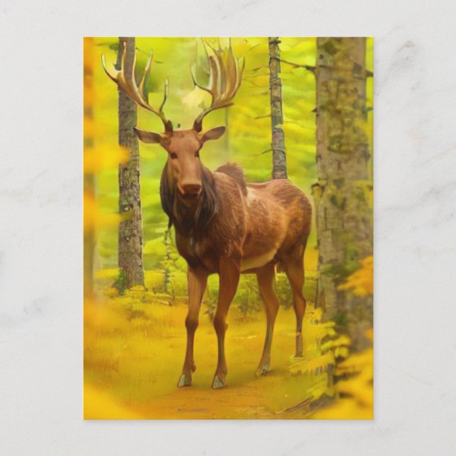 *~* Nature AP49 MOOSE Woods Forest Fall Yellow Postcard (Front)