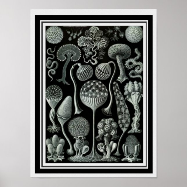 Nature Art  "Mushroom Spores"  Poster 12 x 16 (Front)