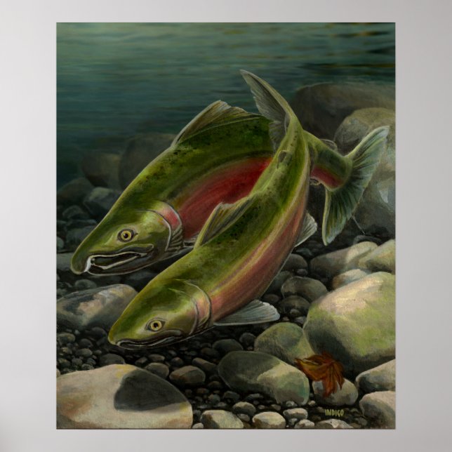 Nature Art Poster Coho Salmon Fishing Art Print (Front)