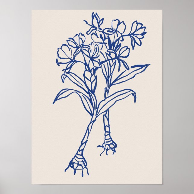 Nature art poster collection (Front)