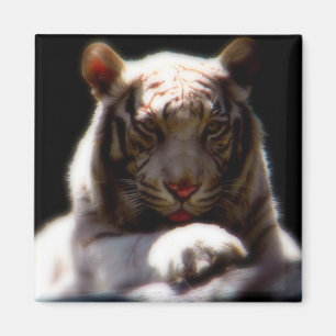 Nature Art Refrigerator Magnet