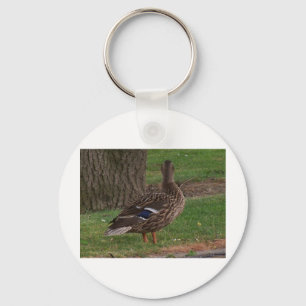 Nature At Large 5 Key Ring