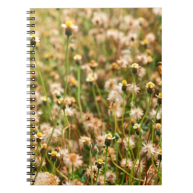 Nature background with grass flowerbackground, bea notebook (Front)