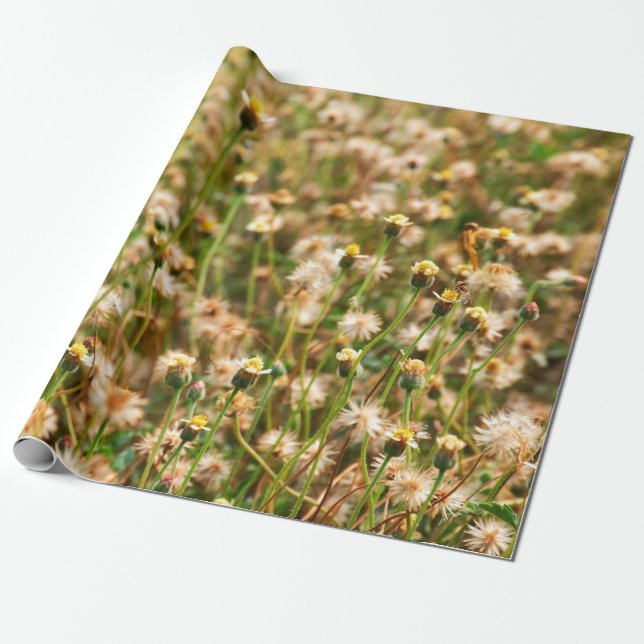 Nature background with grass flowerbackground, bea wrapping paper (Unrolled)