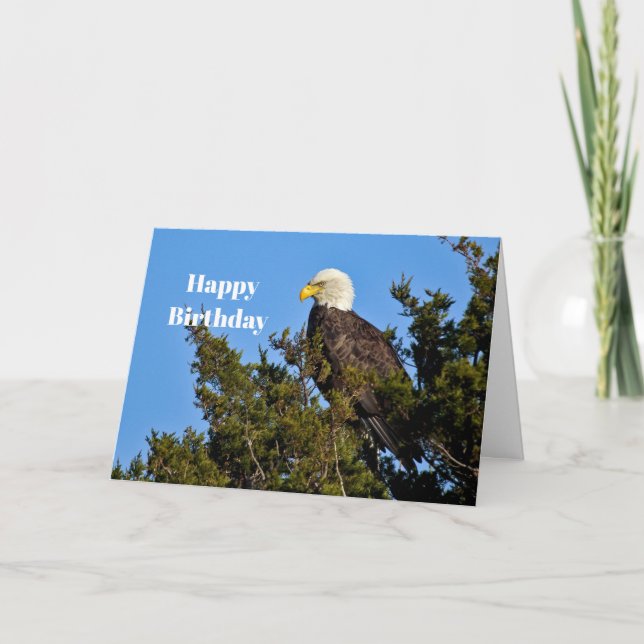 Nature Bald Eagle Wildlife Photo Birthday Card (Front)
