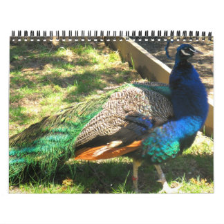 Nature - Birds - Landscape 12 Month Calendar