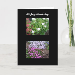Nature Birthday card