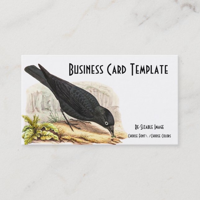 Nature Blackbird Raven Business Card (Front)
