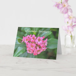 Nature Bouquet of Pink Dainty Flowers Birthday Card