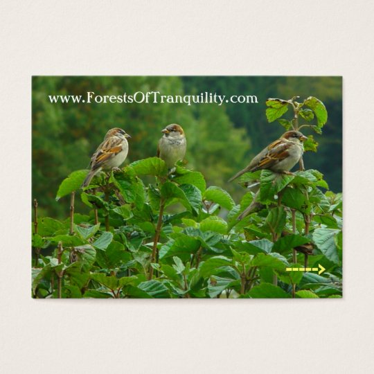 Nature business card